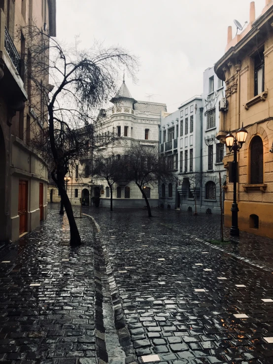 there is a street that has cobblestones in it