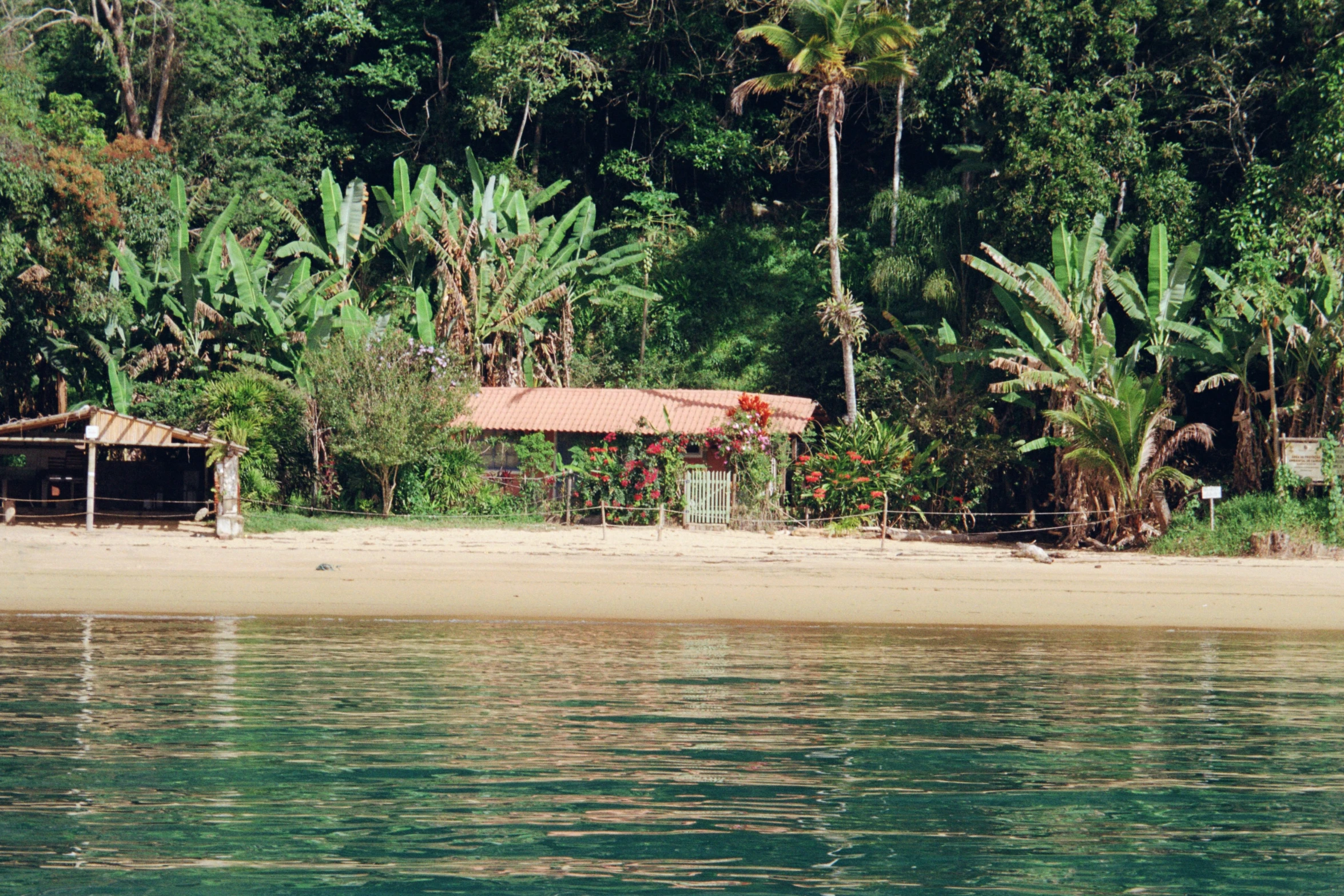 a hut in a jungle on a sandy beach