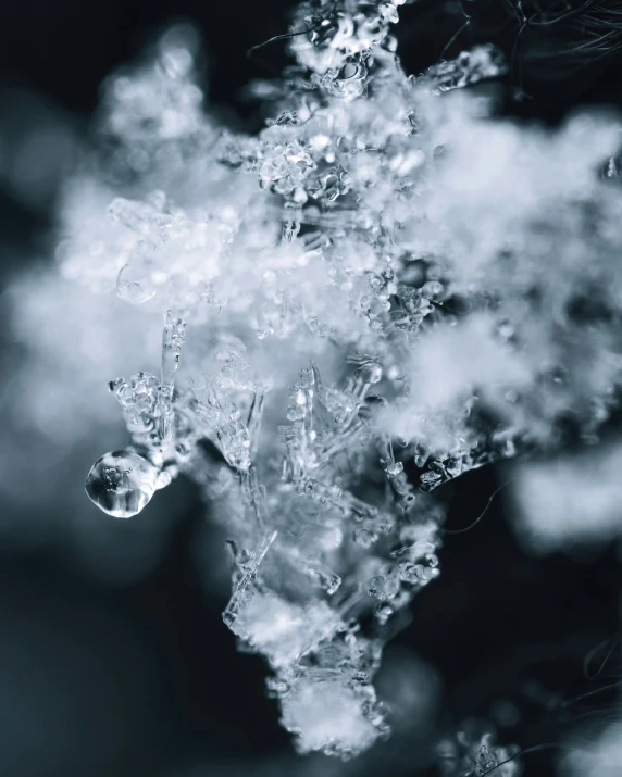 ice crystals hanging from the top of a nch