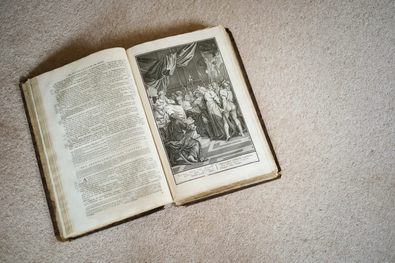 an old, antique book lies open to show an image of cattle in the distance