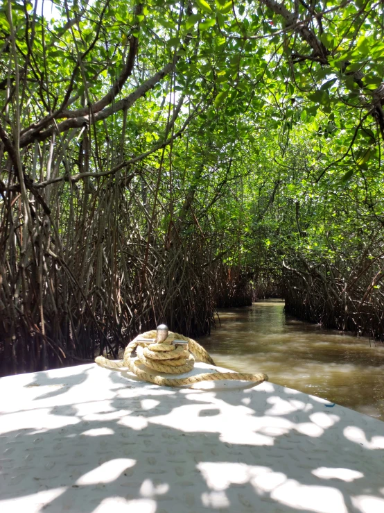 the boat is traveling along the rivershores in deep water