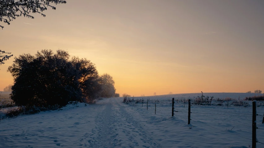 a snow covered path surrounded by trees and fencing