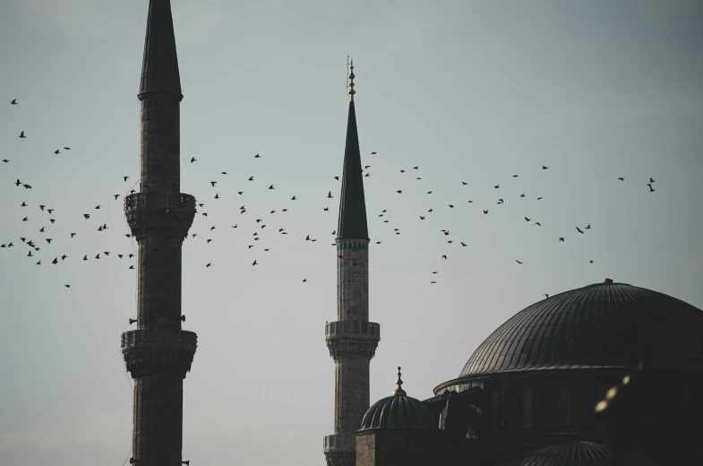 a flock of birds fly above the blue mosque