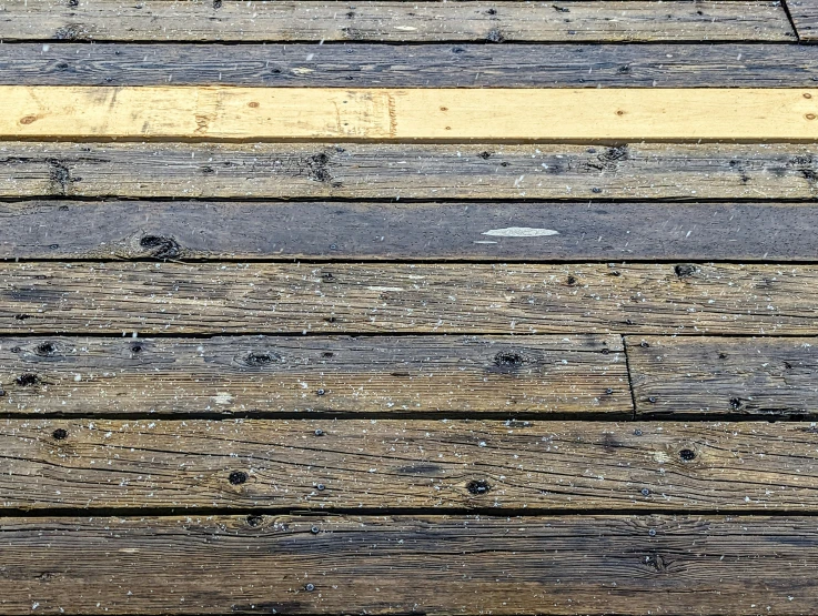 a bird standing on a wooden decking area