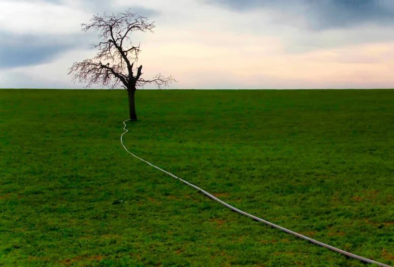 a tree that is bent to the left is being pulled by a rope