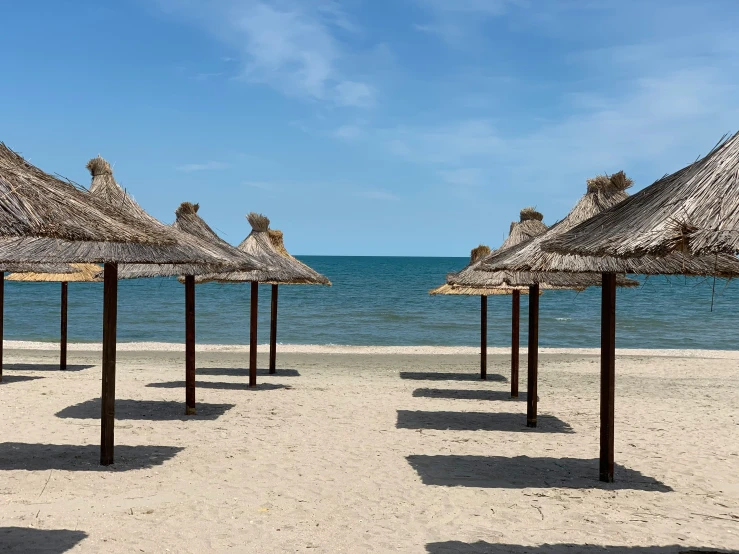 straw umbrellas lined up on a beach, under a blue sky