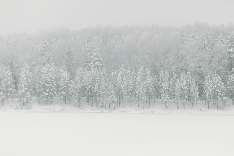 a snowy field next to a forest and snow covered ground