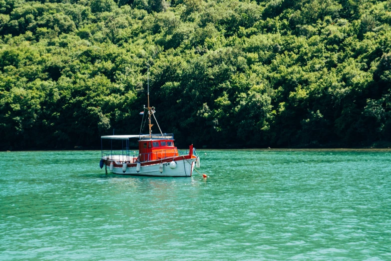 boat with red painted hull in water near wooded area