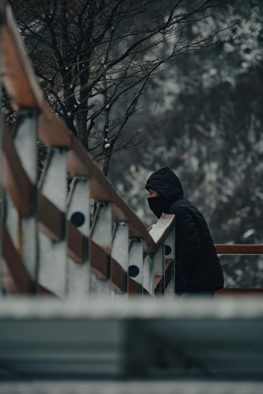 a person walking down a bridge next to some trees