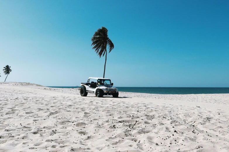 a truck parked on the beach with palm trees