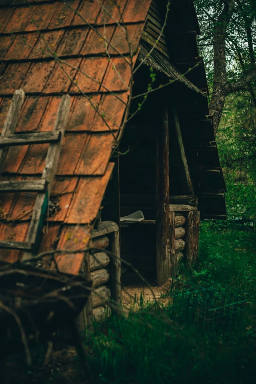 an old cabin in the woods with a rusty roof
