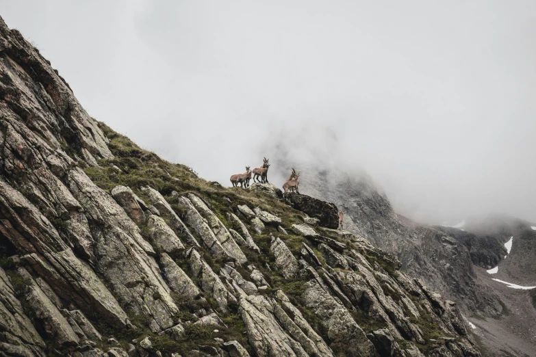 two people are standing on top of a mountain