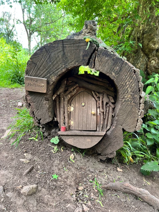 a very big weird looking wooden door in the ground