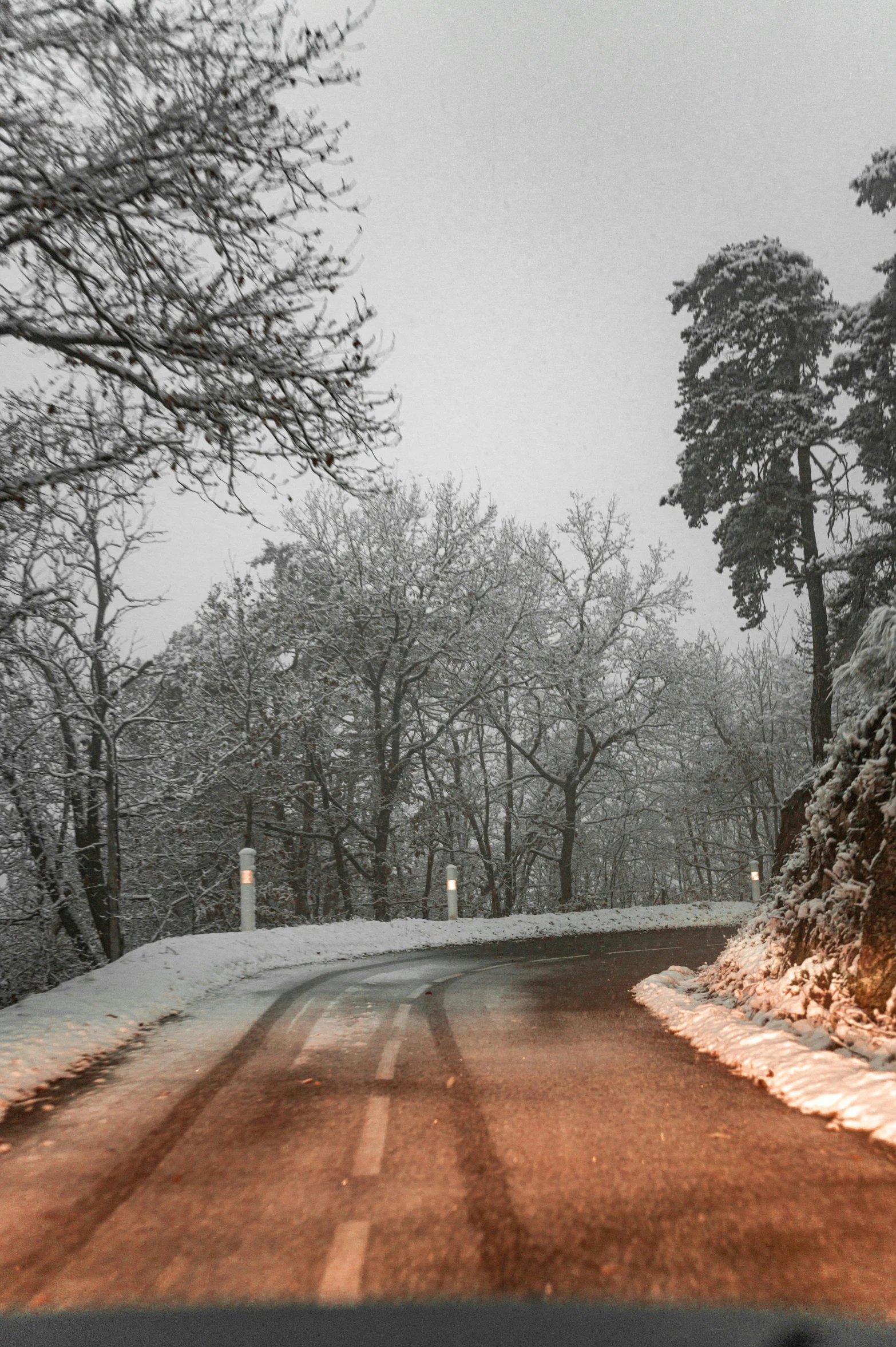 a snowy scene with trees and a road