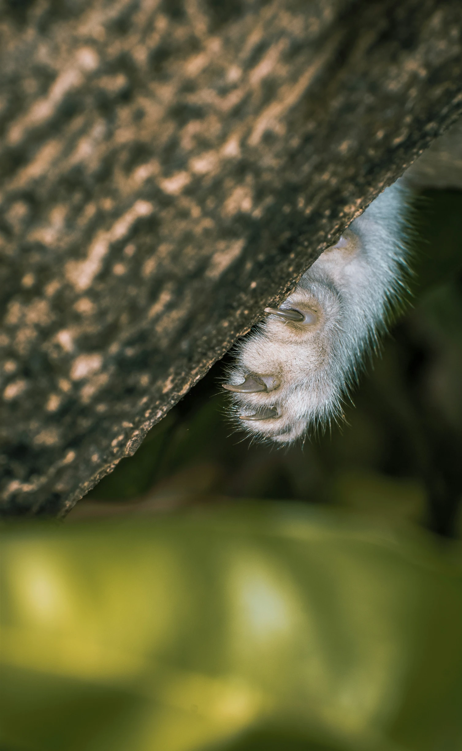 a close up of the side of a plant