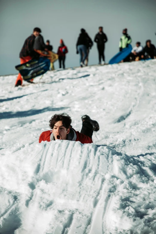 a  hiding his face in the snow