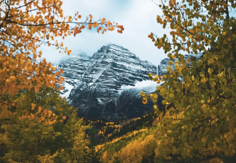 mountain scene with fall leaves in foreground