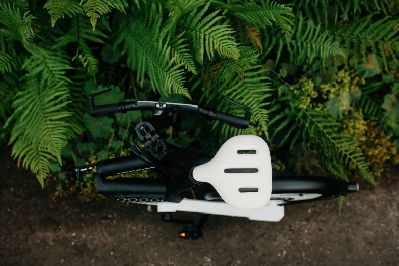 view of top of a bike frame with trees in background