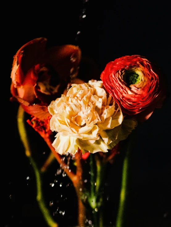 three flowers are in a vase with water droplets