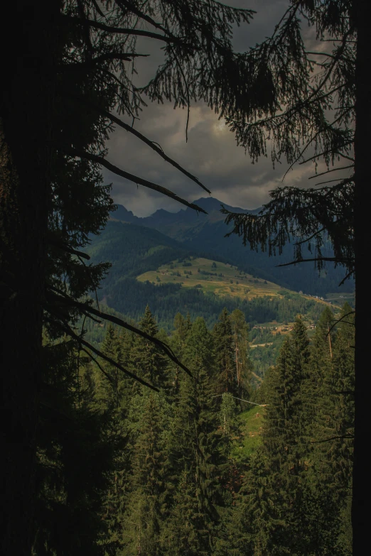 the view from behind trees in a wooded area