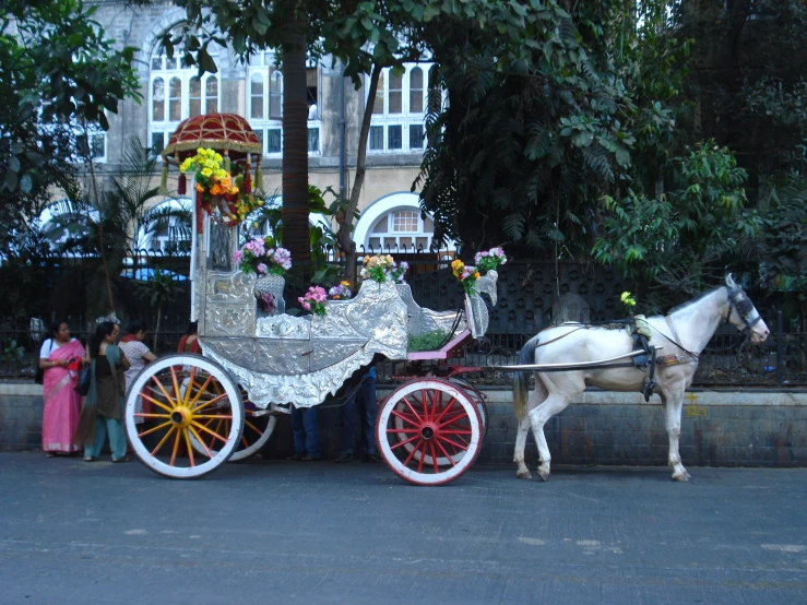 a horse drawn carriage on a city street