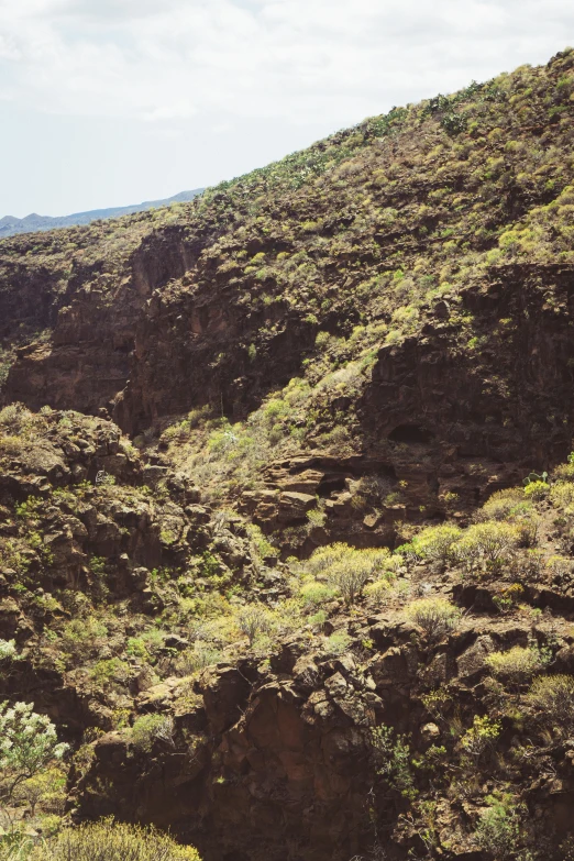 some rocks and grass are scattered on the hillside