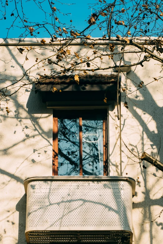 the back of a bench below a window near the trees