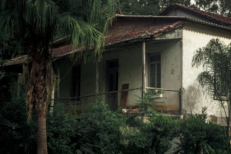 a house that has a tree and bushes in front of it