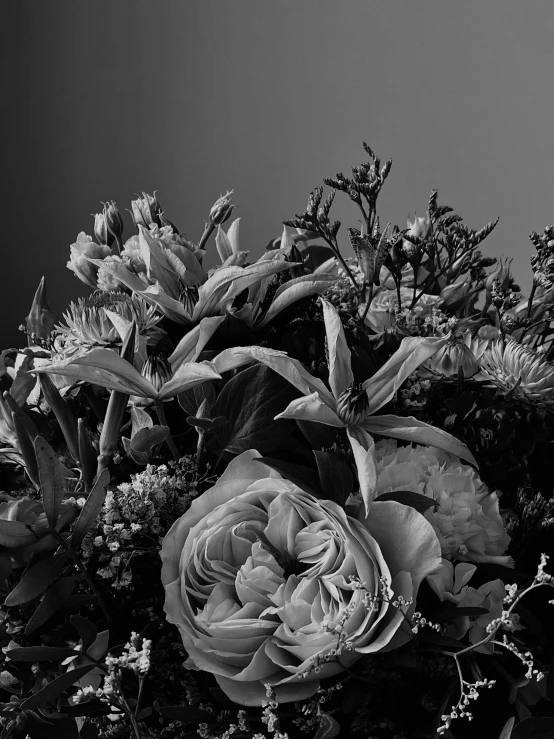 an arrangement of flowers and foliage with black and white colors