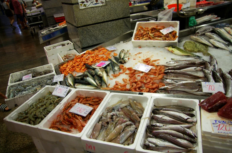 an indoor market with fish on display in containers