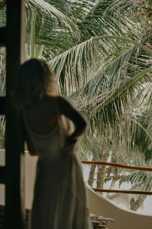 the back view of a woman standing outside near palm trees