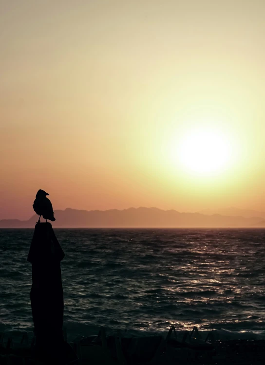 a person on the beach at sunset with the sun setting