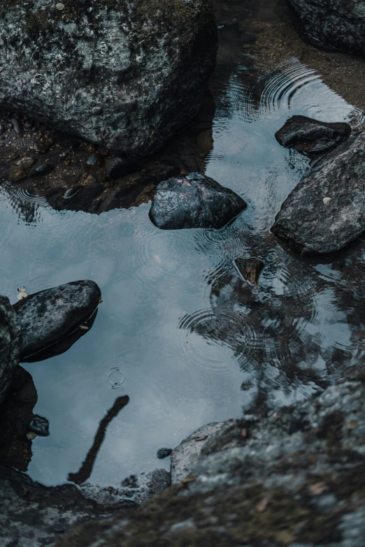 a closeup view of an umbrella sitting on some rocks