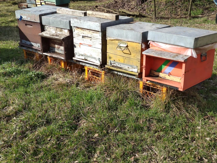 some very pretty colorful beehives standing in the grass