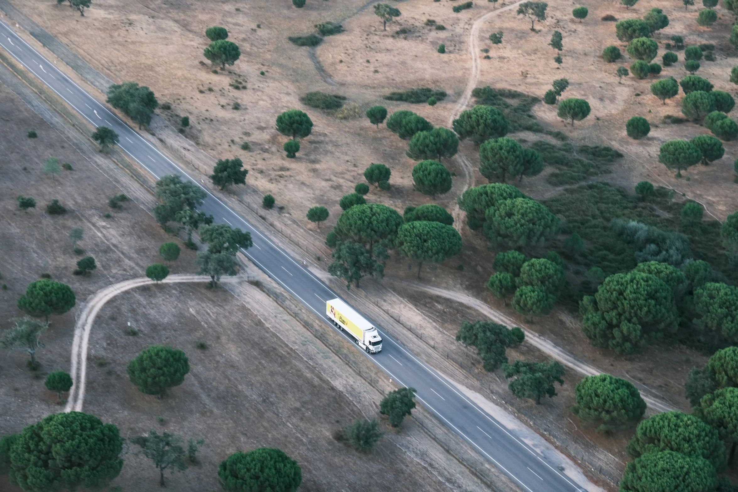 a white truck traveling down a tree lined highway