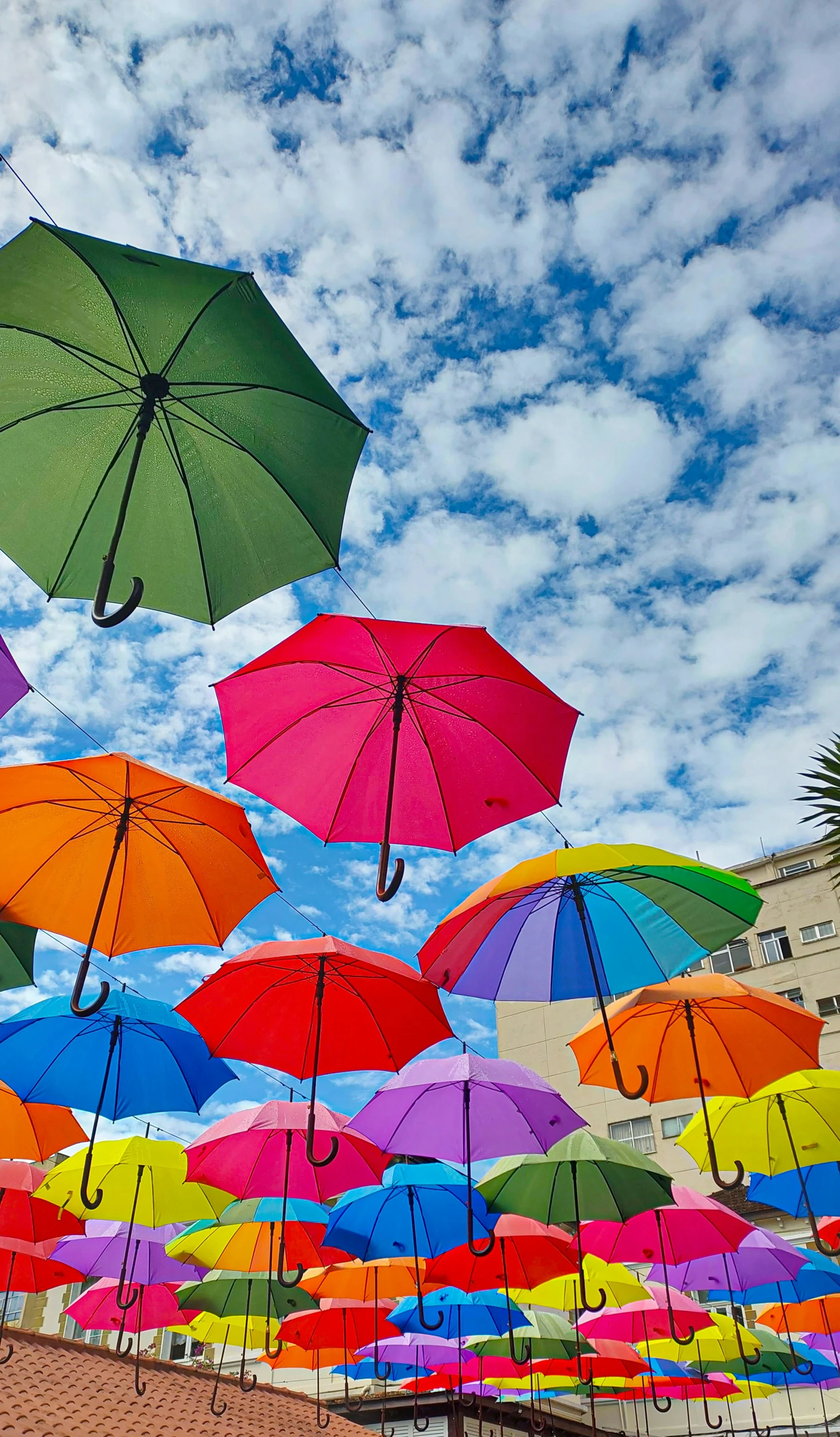 many open umbrellas hang in the air