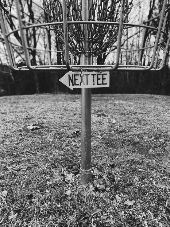 a wooden sign that says next tee sitting on top of a grass field