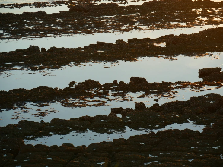 view of land with low tide and the sun in the distance