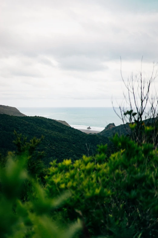 a view of hills in the distance of the water