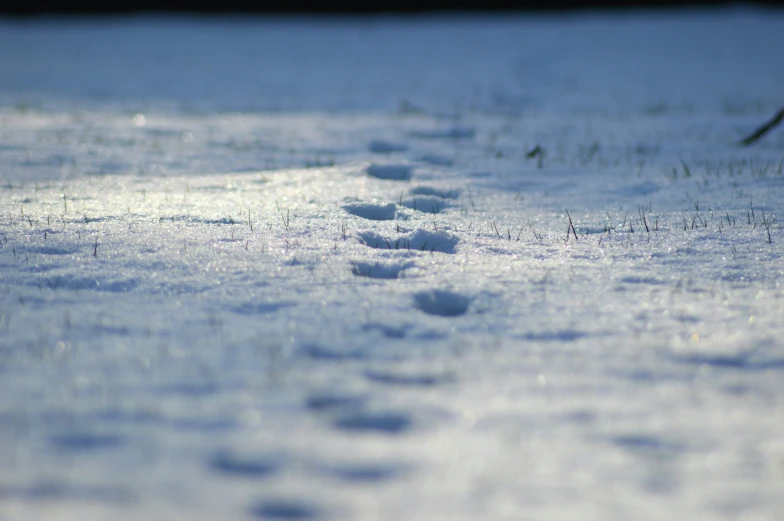 the path to get up is in snow