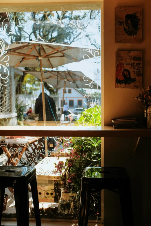 a chair, an umbrella and some plants outside