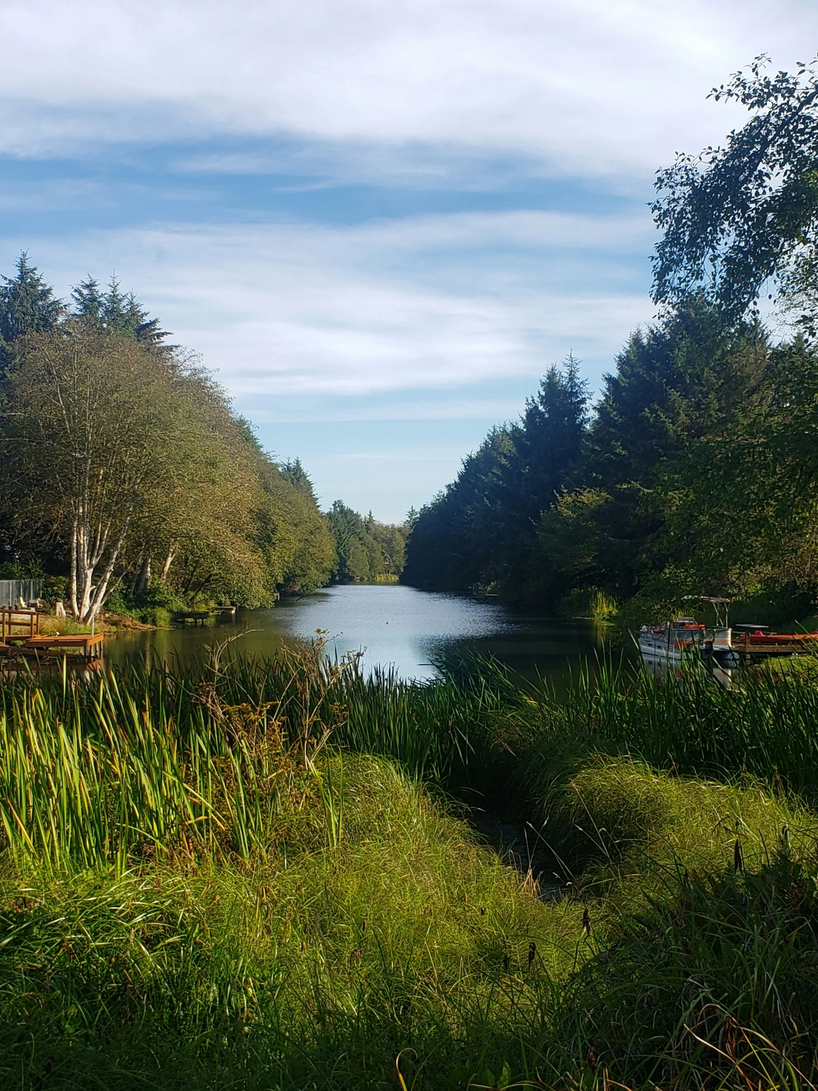 a view of a river with some trees and water