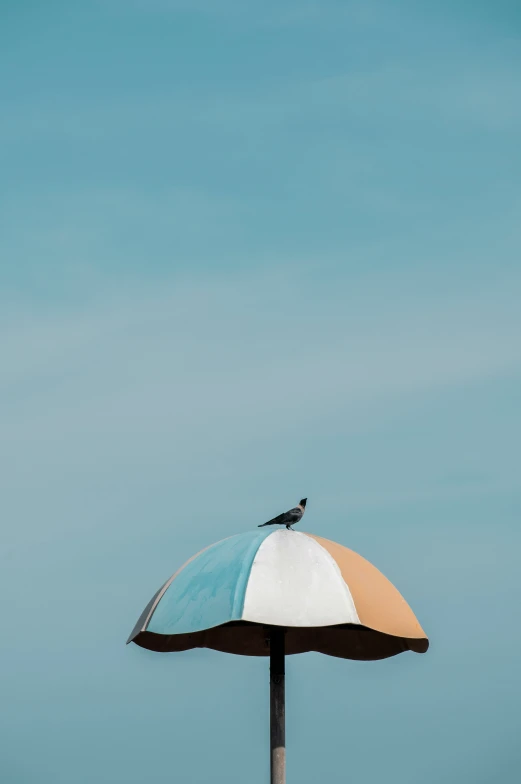 the bird is perched on top of the umbrella