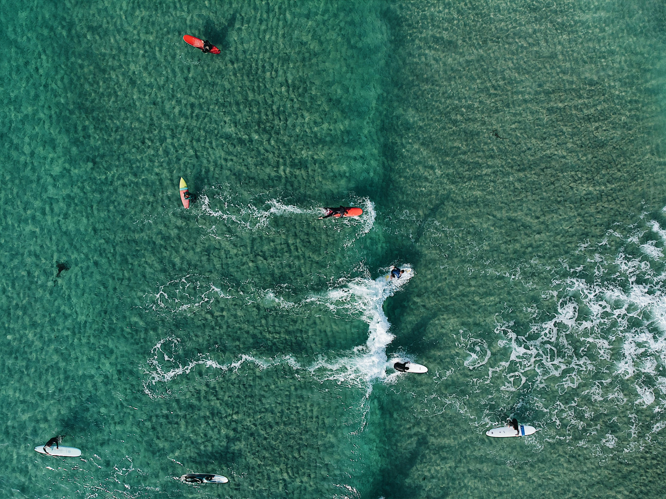 surfers paddling out in the ocean on their surfboards