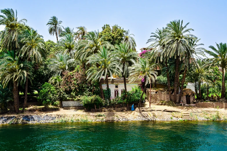 the house sits beside the water and is surrounded by many palm trees