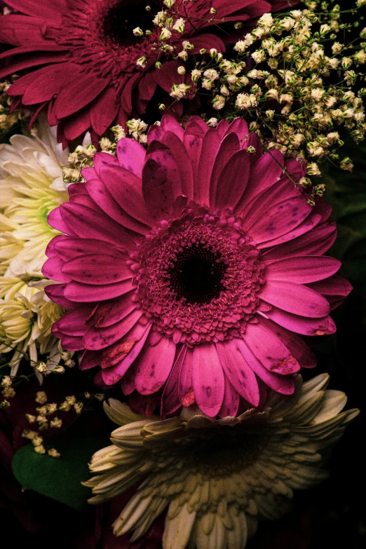 an image of a close up of some flowers