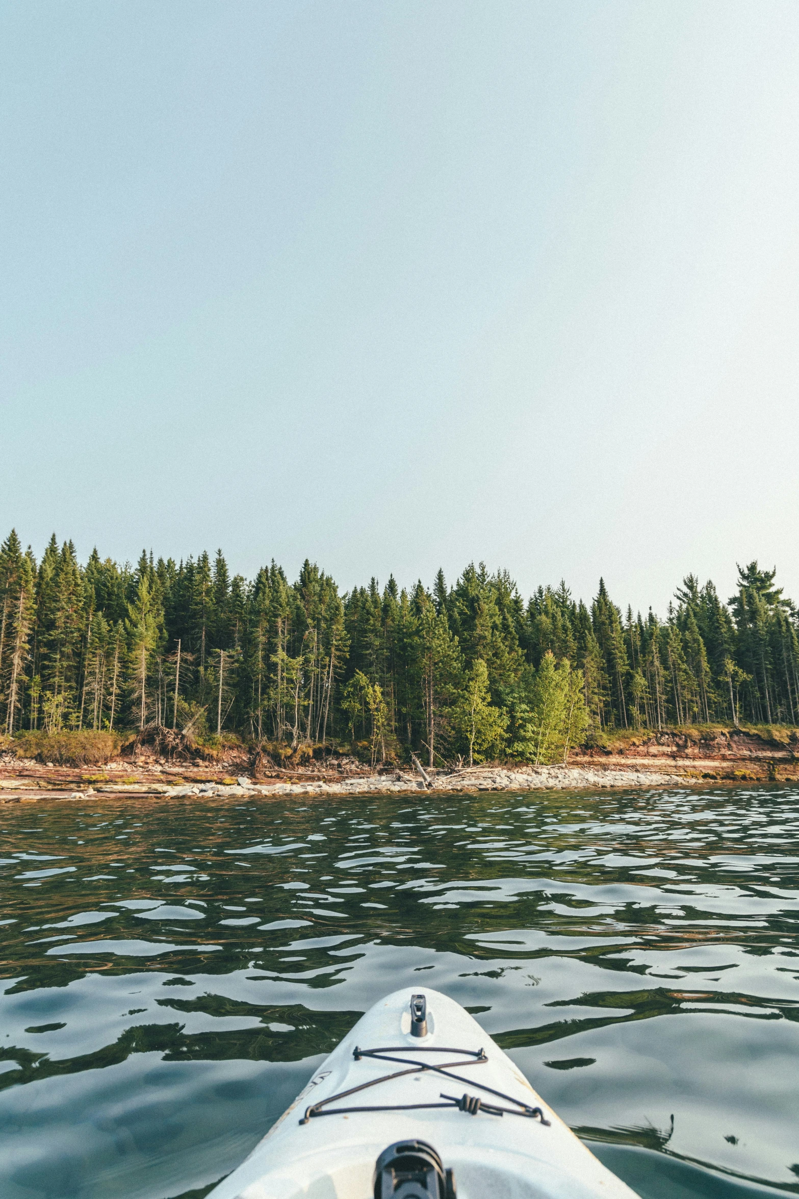 a person kayaking with trees in the background