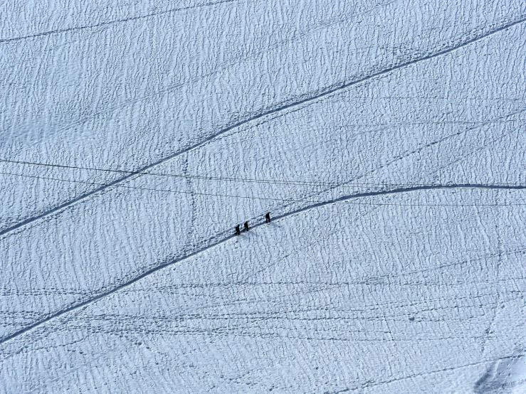 three people are skiing across a snow covered landscape