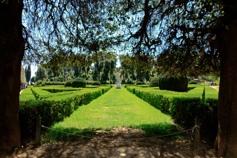 a lush green field covered in lots of trees