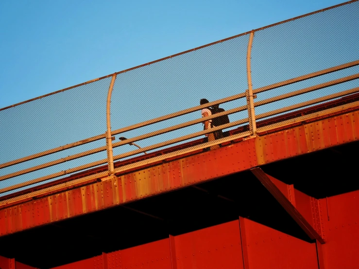 a person standing on top of a metal bridge